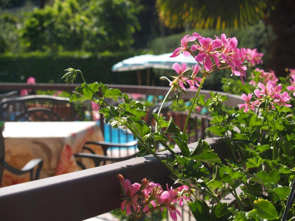 Hotel Casa Serena Malcesine Exterior photo